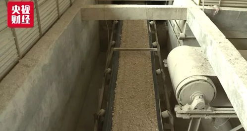 石家庄油价再调整，汽车“换口粮”背后的生物化工新动向